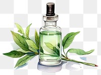 PNG Perfume bottle plant herbs. AI generated Image by rawpixel.