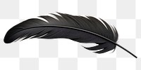 PNG Lightweight softness feather nature.