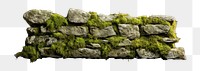 PNG Moss wall plant rock