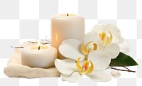 PNG Flower candle plant spirituality. AI generated Image by rawpixel.