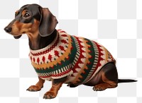 PNG Sweater dachshund animal mammal. 