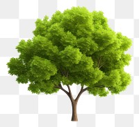 PNG Tree plant white background tranquility. AI generated Image by rawpixel.