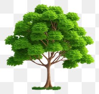 PNG Tree outdoors nature plant. AI generated Image by rawpixel.