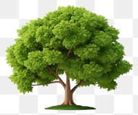 PNG Tree outdoors plant white background. AI generated Image by rawpixel.