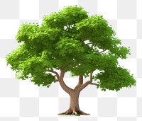 PNG Tree plant white background tranquility. AI generated Image by rawpixel.