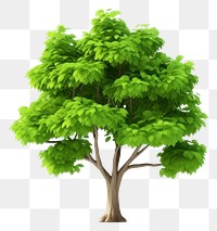 PNG Tree plant white background outdoors. AI generated Image by rawpixel.