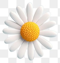 PNG Daisy flower petal plant. AI generated Image by rawpixel.