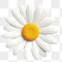 PNG Daisy flower petal plant. 