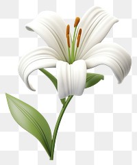 PNG Flower lily plant white. AI generated Image by rawpixel.