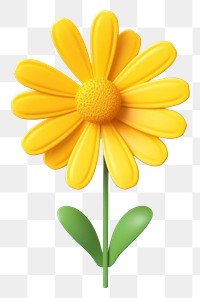 PNG Daisy flower yellow petal. 