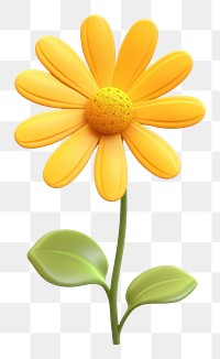 PNG Daisy flower yellow petal. 