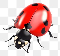 PNG Cartoon animal insect  