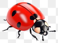 PNG Cartoon animal insect white background. AI generated Image by rawpixel.