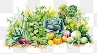 PNG Vegetable plant herbs food. 