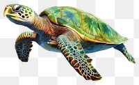 PNG Reptile animal turtle sea transparent background