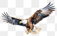 PNG Animal flying bird beak. AI generated Image by rawpixel.