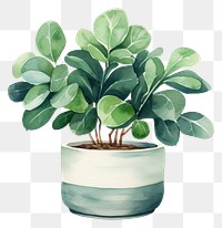 PNG Plant houseplant leaf vase. 