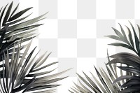 PNG Backgrounds outdoors nature plant. AI generated Image by rawpixel.