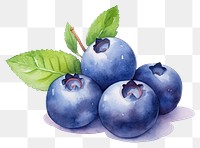 PNG Blueberry fruit plant food. 