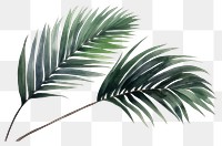 PNG Plant leaf tree freshness