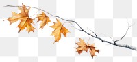 PNG Tree falling branch plant. AI generated Image by rawpixel.