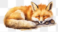 PNG Animal mammal fox relaxation. 