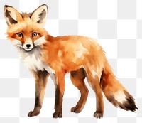 PNG Fox wildlife animal mammal. AI generated Image by rawpixel.