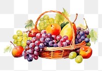 PNG Basket fruit grapes plant. AI generated Image by rawpixel.