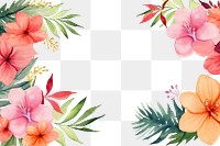 PNG Flower backgrounds hibiscus pattern. 