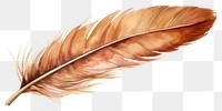 PNG Feather brown bird lightweight. AI generated Image by rawpixel.