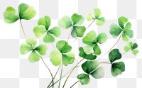 PNG Backgrounds clover plant leaf. AI generated Image by rawpixel.