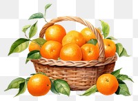 PNG Grapefruit basket plant food. AI generated Image by rawpixel.