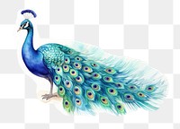 PNG Peacock animal bird creativity. 