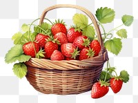 PNG Strawberry basket fruit plant. 