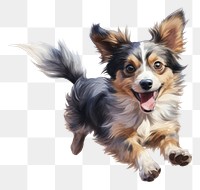 PNG Dog papillon mammal animal. 