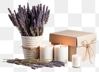 PNG Lavender candle box flower. 