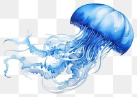 PNG Jellyfish invertebrate translucent transparent. AI generated Image by rawpixel.