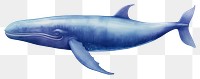 PNG Whale animal mammal, digital paint illustration. 