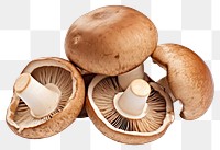 PNG Mushroom fungus plant brown. 