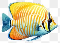 PNG Fish animal white background pomacanthidae, digital paint illustration. 