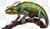 PNG Reptile animal lizard iguana. AI generated Image by rawpixel.