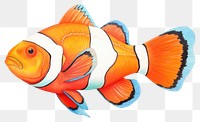 PNG Fish animal white background pomacentridae, digital paint illustration.