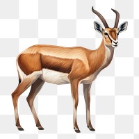 Wildlife animal mammal herbivorous. AI generated Image by rawpixel.