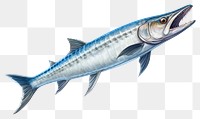 PNG Fish animal freshness wildlife, digital paint illustration. AI generated image