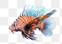 PNG Fish lionfish aquarium animal, digital paint illustration. AI generated image