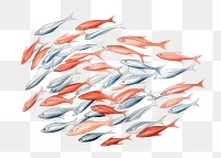 PNG Fish animal white background arrangement, digital paint illustration. 