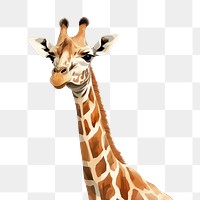 Wildlife giraffe animal mammal. 