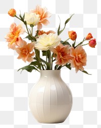 PNG Flower vase plant white. 