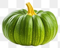 PNG Pumpkin vegetable squash plant. 