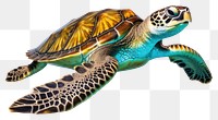 PNG Reptile animal turtle sea transparent background